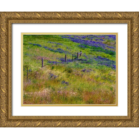USA-Washington State-Palouse with hillside of vetch Gold Ornate Wood Framed Art Print with Double Matting by Gulin, Sylvia
