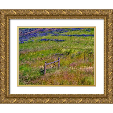 USA-Washington State-Palouse with hillside of vetch Gold Ornate Wood Framed Art Print with Double Matting by Gulin, Sylvia