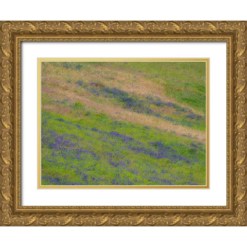 USA-Washington State-Palouse with hillside of vetch Gold Ornate Wood Framed Art Print with Double Matting by Gulin, Sylvia