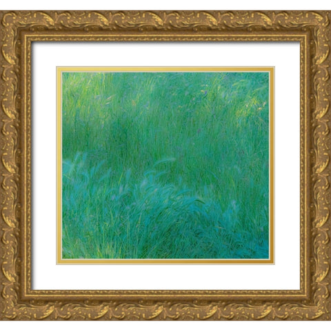 USA-Washington State-Palouse with hillside planted in grass Gold Ornate Wood Framed Art Print with Double Matting by Gulin, Sylvia