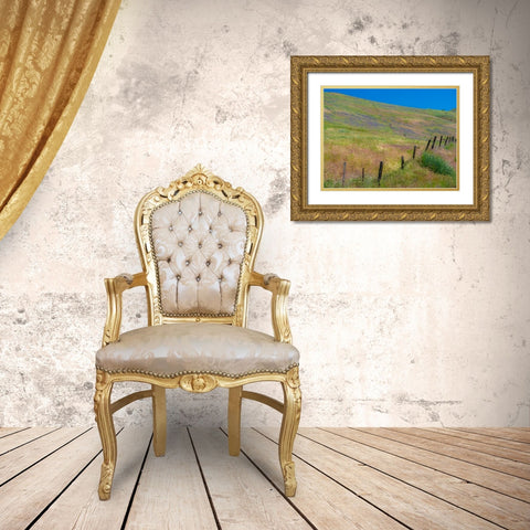 USA-Washington State-Palouse with hillside of vetch Gold Ornate Wood Framed Art Print with Double Matting by Gulin, Sylvia