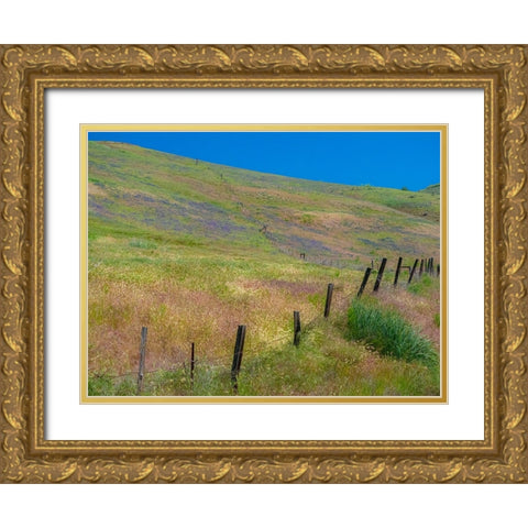 USA-Washington State-Palouse with hillside of vetch Gold Ornate Wood Framed Art Print with Double Matting by Gulin, Sylvia