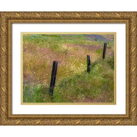 USA-Washington State-Palouse with wooden fence posts in grass field Gold Ornate Wood Framed Art Print with Double Matting by Gulin, Sylvia
