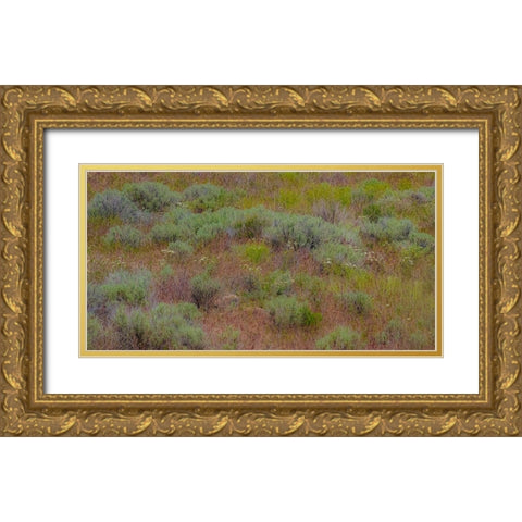 USA-Washington State-Palouse-Colfax and field of sagebrush Gold Ornate Wood Framed Art Print with Double Matting by Gulin, Sylvia