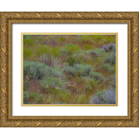 USA-Washington State-Palouse-Colfax and field of sagebrush Gold Ornate Wood Framed Art Print with Double Matting by Gulin, Sylvia