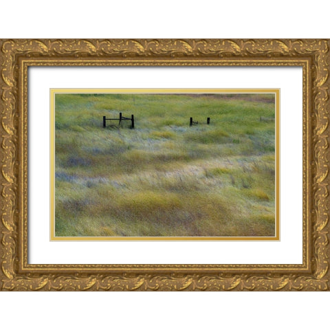 USA-Washington State-Palouse with wooden fence posts in grass field Gold Ornate Wood Framed Art Print with Double Matting by Gulin, Sylvia