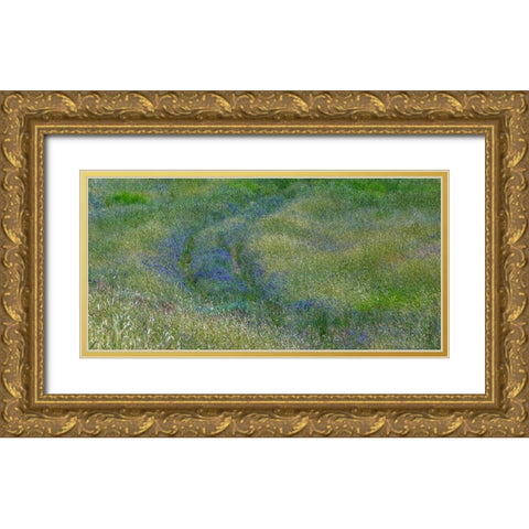 USA-Washington State-Benge Purple vetch in field Gold Ornate Wood Framed Art Print with Double Matting by Gulin, Sylvia