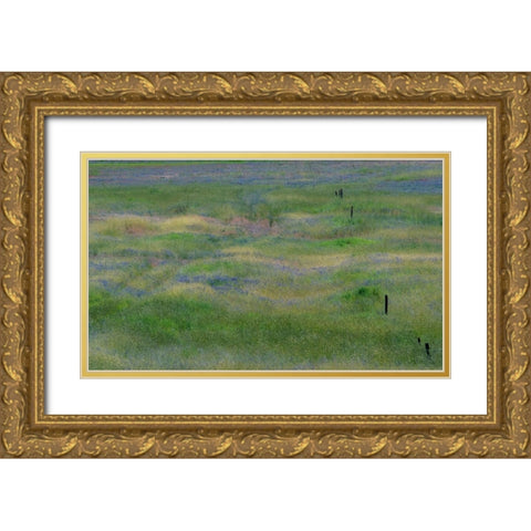 USA-Washington State-Benge Purple vetch in field Gold Ornate Wood Framed Art Print with Double Matting by Gulin, Sylvia