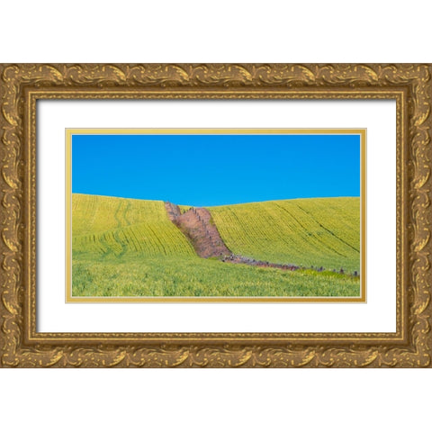 USA-Washington State-Winona winter wheat with fence line running through middle of field Gold Ornate Wood Framed Art Print with Double Matting by Gulin, Sylvia