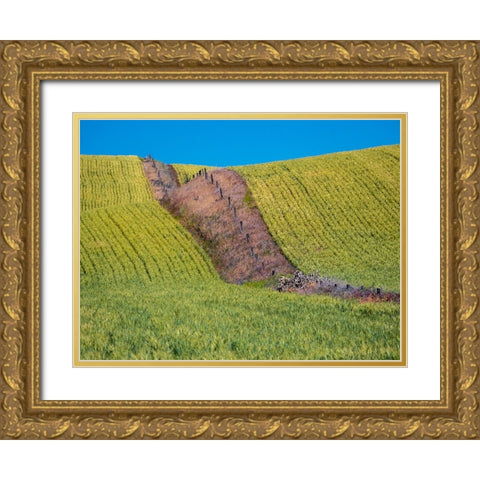 USA-Washington State-Winona winter wheat with fence line running through middle of field Gold Ornate Wood Framed Art Print with Double Matting by Gulin, Sylvia