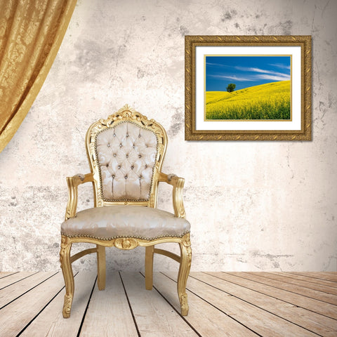 USA-Washington State-Palouse canola field with lone tree near Colfax Gold Ornate Wood Framed Art Print with Double Matting by Gulin, Sylvia