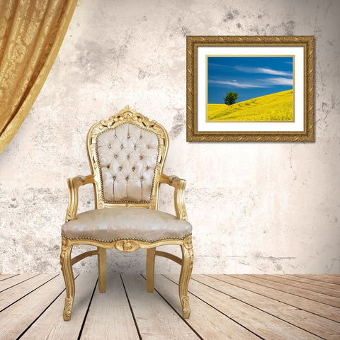 USA-Washington State-Palouse canola field with lone tree near Colfax Gold Ornate Wood Framed Art Print with Double Matting by Gulin, Sylvia
