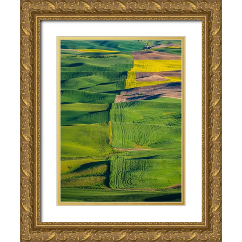 USA-Washington State-Palouse and Steptoe Butte State Park view of Wheat and Canola Gold Ornate Wood Framed Art Print with Double Matting by Gulin, Sylvia