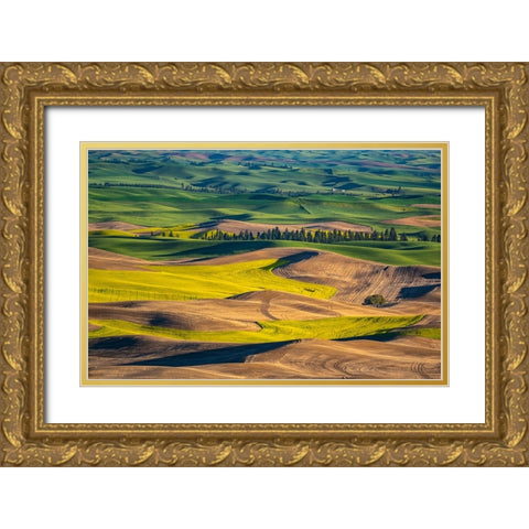 USA-Washington State-Palouse and Steptoe Butte State Park view of Wheat and Canola Gold Ornate Wood Framed Art Print with Double Matting by Gulin, Sylvia