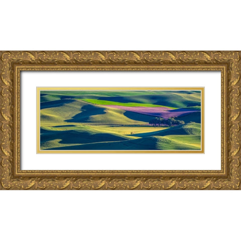 USA-Washington State-Palouse and Steptoe Butte State Park view of Wheat and Canola Gold Ornate Wood Framed Art Print with Double Matting by Gulin, Sylvia