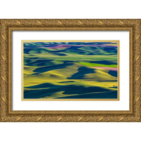 USA-Washington State-Palouse and Steptoe Butte State Park view of Wheat and Canola Gold Ornate Wood Framed Art Print with Double Matting by Gulin, Sylvia