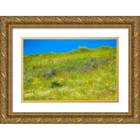 USA-Washington State-Palouse grass fields that were not being farmed Gold Ornate Wood Framed Art Print with Double Matting by Gulin, Sylvia