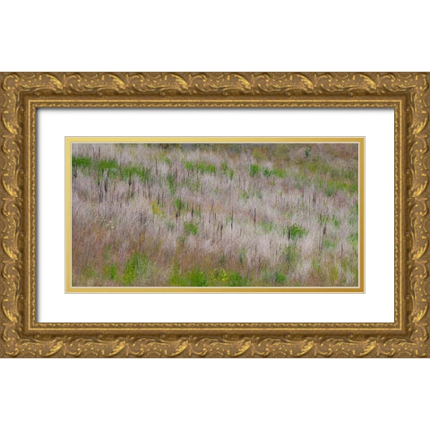 USA-Washington State-Palouse grass fields that were not being farmed Gold Ornate Wood Framed Art Print with Double Matting by Gulin, Sylvia