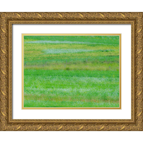 USA-Washington State-Palouse grass fields that were not being farmed Gold Ornate Wood Framed Art Print with Double Matting by Gulin, Sylvia