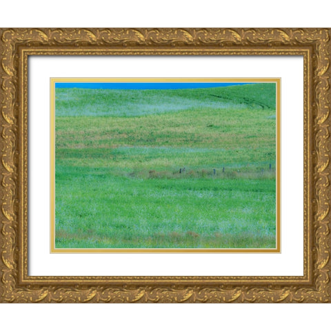 USA-Washington State-Palouse grass fields that were not being farmed Gold Ornate Wood Framed Art Print with Double Matting by Gulin, Sylvia