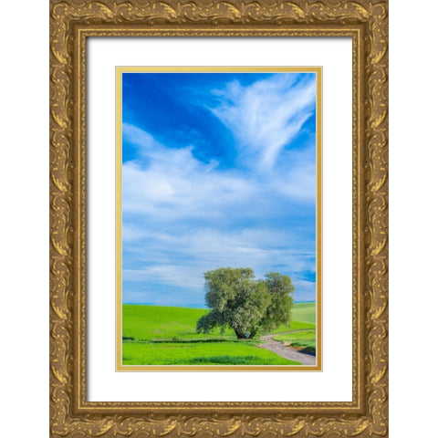 USA-Washington State-Palouse with wheat fields and lone Cottonwood tree Gold Ornate Wood Framed Art Print with Double Matting by Gulin, Sylvia
