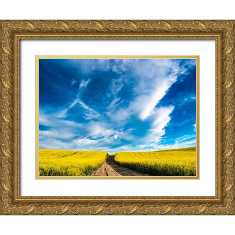 USA-Washington State-Palouse canola fields in yellow with dirt road Gold Ornate Wood Framed Art Print with Double Matting by Gulin, Sylvia