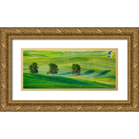 USA-Washington State-Palouse with three cottonwoods in field of green Winter Wheat Gold Ornate Wood Framed Art Print with Double Matting by Gulin, Sylvia