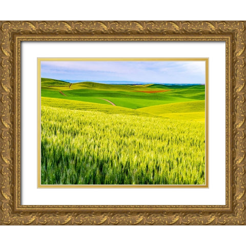 USA-Washington State-Palouse overview of wheat fields from above Gold Ornate Wood Framed Art Print with Double Matting by Gulin, Sylvia