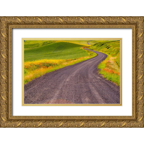 USA-Washington State-Palouse with gravel curved road edged with Poppies and Yellow Canola Gold Ornate Wood Framed Art Print with Double Matting by Gulin, Sylvia