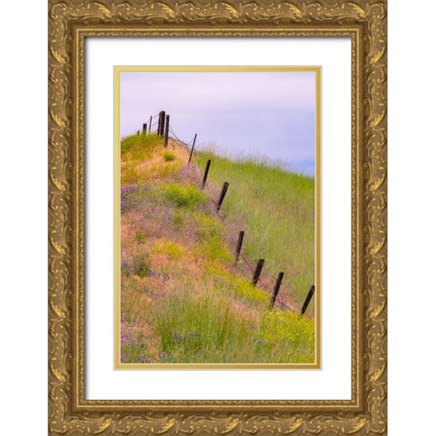 USA-Washington State-Palouse fence line near Winona with vetch and grasses Gold Ornate Wood Framed Art Print with Double Matting by Gulin, Sylvia