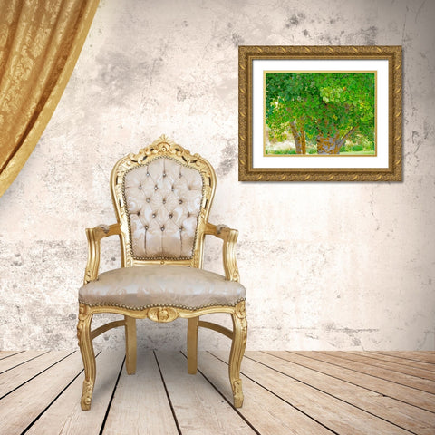 USA-Washington State-Bellevue Ginkgo Tree green leaves Gold Ornate Wood Framed Art Print with Double Matting by Gulin, Sylvia