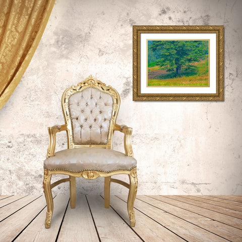 USA-Washington State-Issaquah lone Big Leaf Maple tree in grassy field Gold Ornate Wood Framed Art Print with Double Matting by Gulin, Sylvia