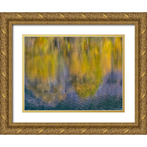 USA-Washington State-Easton and fall colors of Cottonwoods in small pond Gold Ornate Wood Framed Art Print with Double Matting by Gulin, Sylvia