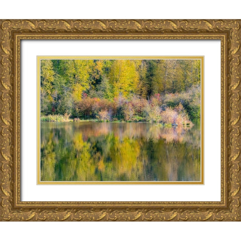 USA-Washington State-Easton and fall colors of Cottonwoods in small pond Gold Ornate Wood Framed Art Print with Double Matting by Gulin, Sylvia