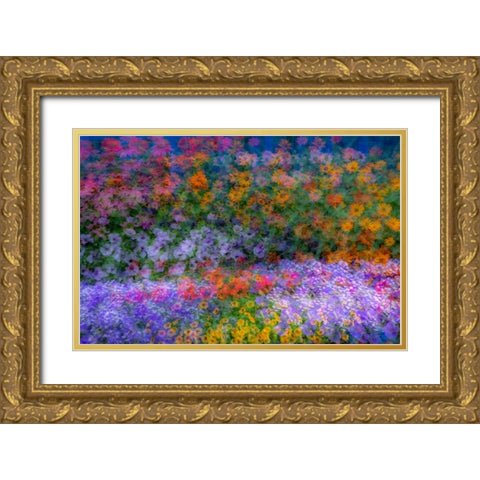 USA-Washington State-Pacific Northwest-Sammamish colorful flowers and blue picket fence Gold Ornate Wood Framed Art Print with Double Matting by Gulin, Sylvia