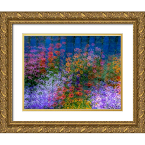 USA-Washington State-Pacific Northwest-Sammamish colorful flowers and blue picket fence Gold Ornate Wood Framed Art Print with Double Matting by Gulin, Sylvia