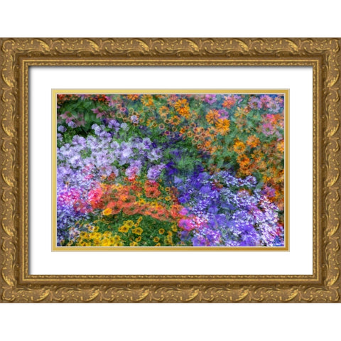 USA-Washington State-Pacific Northwest-Sammamish colorful flowers and blue picket fence Gold Ornate Wood Framed Art Print with Double Matting by Gulin, Sylvia