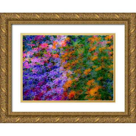 USA-Washington State-Pacific Northwest-Sammamish colorful flowers and blue picket fence Gold Ornate Wood Framed Art Print with Double Matting by Gulin, Sylvia
