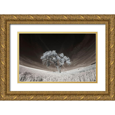 Lone tree in field of harvested wheat Gold Ornate Wood Framed Art Print with Double Matting by Eggers, Terry