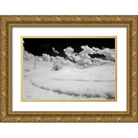 USA-Washington State-Lone tree in field of wheat Gold Ornate Wood Framed Art Print with Double Matting by Eggers, Terry