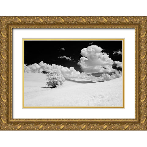 USA-Washington State-Lone tree in field of wheat Gold Ornate Wood Framed Art Print with Double Matting by Eggers, Terry