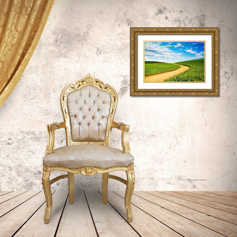Winding backroad through Spring wheat fields-USA-Washington State-Palouse Region Gold Ornate Wood Framed Art Print with Double Matting by Eggers, Terry