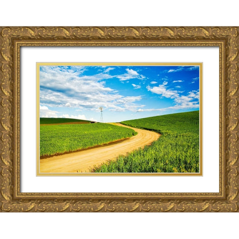 Winding backroad through Spring wheat fields-USA-Washington State-Palouse Region Gold Ornate Wood Framed Art Print with Double Matting by Eggers, Terry
