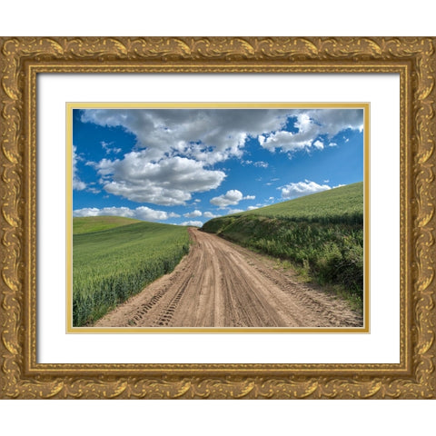 USA-Washington State-Palouse-Country Backroad through Spring wheat fields Gold Ornate Wood Framed Art Print with Double Matting by Eggers, Terry