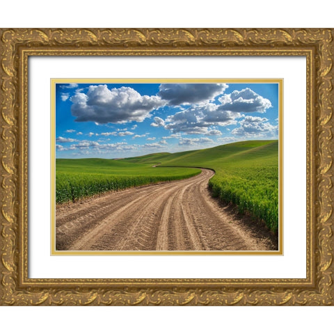 USA-Washington State-Palouse-Country Backroad through Spring wheat fields Gold Ornate Wood Framed Art Print with Double Matting by Eggers, Terry
