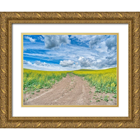 USA-Washington State-Palouse-Country Backroad through Spring canola fields Gold Ornate Wood Framed Art Print with Double Matting by Eggers, Terry