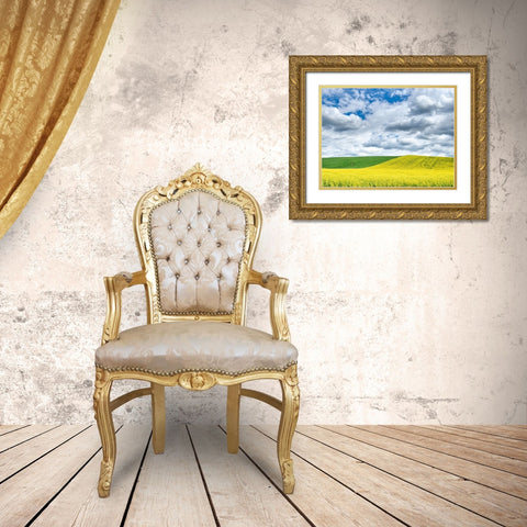 USA-Washington State-Palouse-Rolling hills of canola and wheat Gold Ornate Wood Framed Art Print with Double Matting by Eggers, Terry