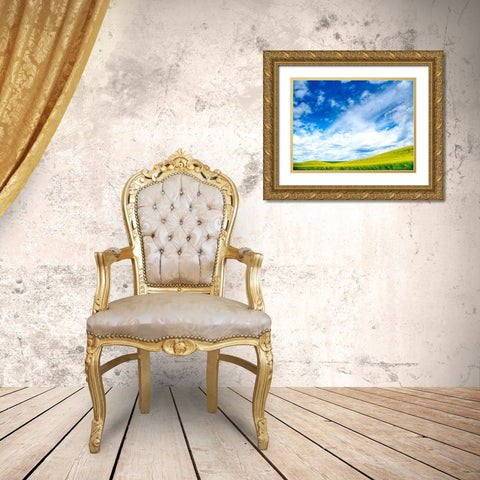 USA-Washington State-Palouse-Spring canola field with beautiful clouds Gold Ornate Wood Framed Art Print with Double Matting by Eggers, Terry