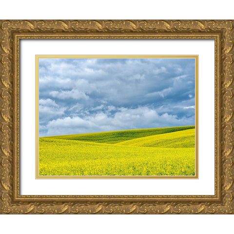 USA-Washington State-Palouse-Rolling hills of canola and wheat Gold Ornate Wood Framed Art Print with Double Matting by Eggers, Terry