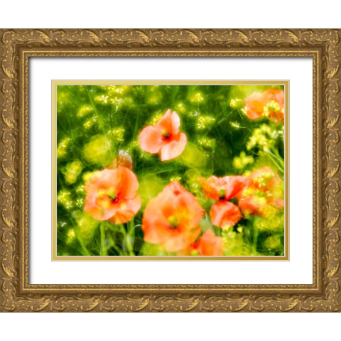 USA-Washington State-Spring Fire Poppies Gold Ornate Wood Framed Art Print with Double Matting by Eggers, Terry